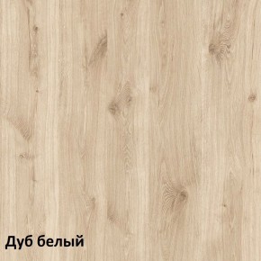 Эйп Шкаф для одежды 13.334 в Невьянске - nevjansk.mebel-74.com | фото