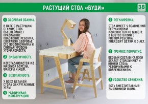 Комплект растущий стол и стул с чехлом 38 попугаев «Вуди» (Серый, Береза, Салют) в Невьянске - nevjansk.mebel-74.com | фото