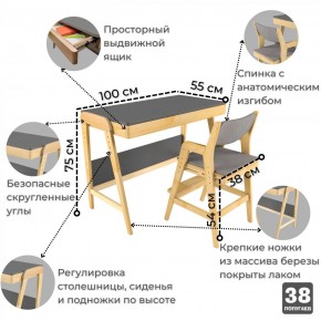 Комплект растущий стол и стул с чехлом 38 попугаев «Вуди» (Серый, Береза, Серый) в Невьянске - nevjansk.mebel-74.com | фото
