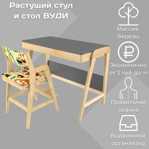 Комплект растущий стол и стул с чехлом 38 попугаев «Вуди» (Серый, Без покрытия, Монстры) в Невьянске - nevjansk.mebel-74.com | фото