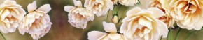 Кухонный фартук Цветы 066 МДФ матовый (3000) Flowers в Невьянске - nevjansk.mebel-74.com | фото