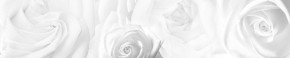 Кухонный фартук Цветы 217 МДФ матовый (3000) Flowers в Невьянске - nevjansk.mebel-74.com | фото