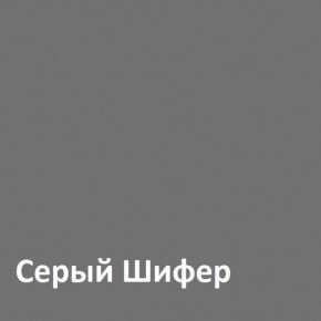 Юнона Шкаф торцевой 13.221 в Невьянске - nevjansk.mebel-74.com | фото